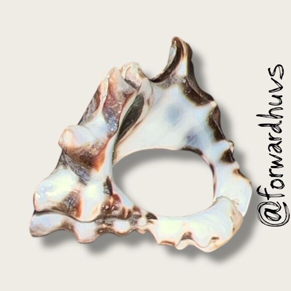 Natural Seashell Statement Ring – Size 6.5 Spiral Sunburst Design - Picture 6 of 9